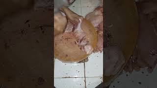 Paha potong 8 ayampotong carapotongayam cuttingchicken cuttingskills shorts [upl. by Niliak]