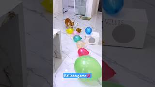 Baloon game song baloon [upl. by Lamiv9]