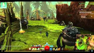 GW2 HoT  Tangled Depths Achievements Roost Rouster [upl. by Wixted499]