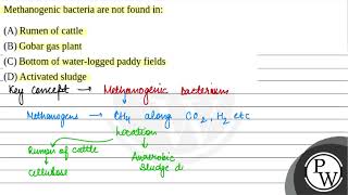 Methanogenic bacteria are not found in [upl. by Christabelle]