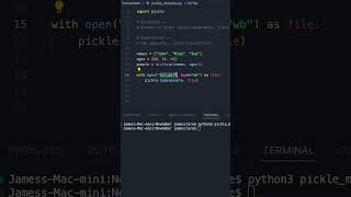 Python 3  Easy Object Serialisation python3 coding programming [upl. by Acile]