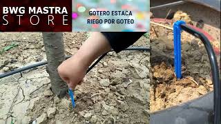 RIEGO POR GOTEO ESTACA [upl. by Eberhard]