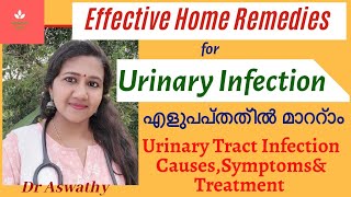 Urinary Tract Infection Treatmentമൂത്രത്തിൽ പഴുപ്പ് Home Remedies in Malayalam [upl. by Rives736]