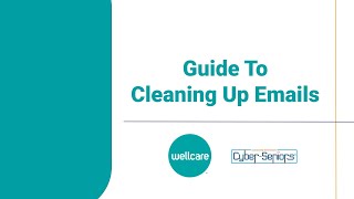 Guide To Cleaning Up Emails [upl. by Eiramik]