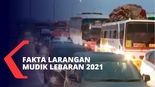 5 Fakta Larangan Mudik Lebaran 2021 [upl. by Osner421]