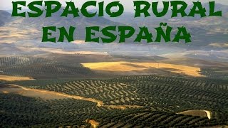 Espacio rural y actividad agraria en España  Geografía de España [upl. by Aihsal807]