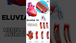 Eluvia medical animation 3d short  BiologywithAliya [upl. by Nnylsoj195]