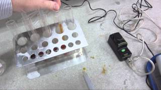 Iodination of propanone Part 1  Obtaining a calibration curve for aqueous iodine [upl. by Faust]