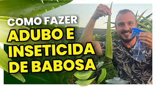 Como fazer um adubo e inseticida caseiro com babosa  Elimine as pragas do seu jardim [upl. by Haden]