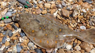 plaice fishing on the south coast sea fishing UK [upl. by Analem]