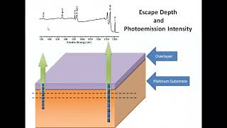 Illustrating the effect of adventitious contamination on Pt photoemission peak intensities [upl. by Palumbo]