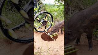 Amazing Skill Building wild boar trap Make By Motorcycle Machinery amp holeskilltrap animals [upl. by Arnulfo]