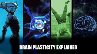 Brain Plasticity Explained How to Support Learning and Growth [upl. by Aivatal484]