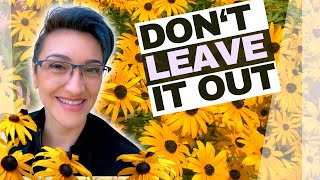 Why EVERY Garden Needs Black Eyed Susans and HOW to Grow Them From Seed [upl. by Notslar]