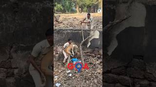 panjim police rescue dog goa save [upl. by Froemming716]