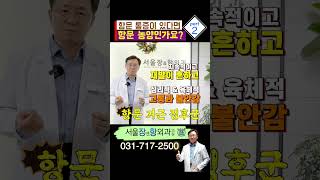 항문 농양 ㅣ 분당치질 유튜버 치열항문농양 [upl. by Eisor]