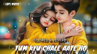 Tum Kyu Chale Aate Ho Lofi music Slowed  Reverb Song Sung by  Vicky Singh  Best trending song [upl. by Tegdig844]