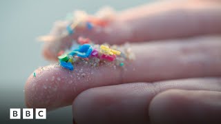 How to limit your exposure to microplastics  BBC Global [upl. by Moishe]