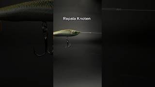 Rapala Knoten zum Angeln angeln fishing raubfischangeln knoten [upl. by Schoenfelder547]