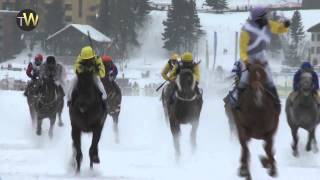 White Turf of StMoritz  Focus on the Gubelin race [upl. by Nilahs754]