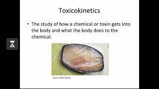 Toxicology Toxicokinetics and Toxicodynamics   Chemicals and Health [upl. by Aniretak]