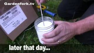 How To Make Yogurt in a Solar Oven [upl. by Zuckerman]