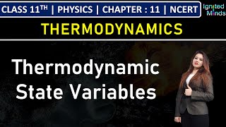 Class 11th Physics  Thermodynamic State Variables  Chapter 11 Thermodynamics  NCERT [upl. by Beaudoin588]