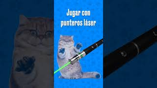 Jugar con PUNTEROS LÁSER no le gusta a mi GATO 🐀 shorts [upl. by Mairem205]