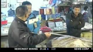 Massive fish stuns onlookers in China [upl. by Diraf]