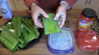 How to Best Prepare and Eat Aloe Vera amp Aloe FAQ [upl. by Arded]