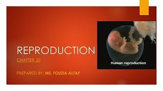 Chapter 20  Reproduction Lecture  HSSC II [upl. by Elisa481]