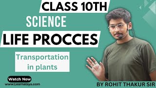 Life Process  Transportation in Plants  Class 10  By Rohit Thakur [upl. by Notsyrb]