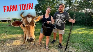 Daily Bumps Homestead Farm Tour 2024 🐄 All Our Animals [upl. by Fritzie214]