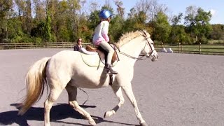 HORSE RIDING BY THE RIVER  MY FIRST TIME CANTERING [upl. by Baillie]