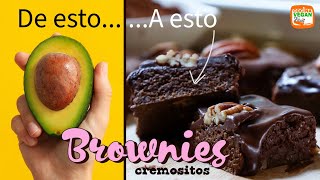 Si tienes un aguacate o palta en casa elabora los brownies más cremositos y deliciosos Sin horno [upl. by Tarabar]