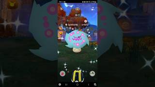 ✨️👻FINALLY CAUGHT SHINY SPIRITOMB wildshiny pokemon shiny shinypokemon pokemongo [upl. by Iz]