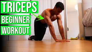 8 Home Tricep Exercises for Beginners — NO EQUIPMENT Workout Routine [upl. by Feodore]