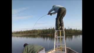 Hunt for Big Fish  Larry Dahlberg at Wollaston Lake Lodge part 2 [upl. by Bashemath50]