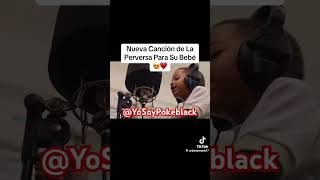 La Perversa Le Saca Una Nueva Canción a Su Bebe Junto a Su Hijo LaPerversa JeyOne Viralb Shorts [upl. by Nire]