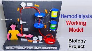 hemodialysis working model  biology project  diy  step by step  howtofunda [upl. by Kaye]