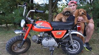 Building a 45 Year Old Honda z50 Mini Bike [upl. by Grearson707]