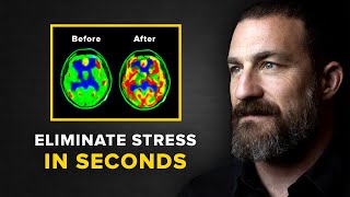 Neuroscientist You Will NEVER Feel Stressed Again  Andrew Huberman [upl. by Blockus]