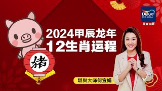 何宜娟大师：2024龙年肖猪运程 [upl. by Bibbie262]