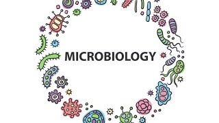 Escherichia Coli MicrobiologyPathology MBBS 3rdYear [upl. by Ahsinyt]