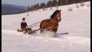 Goraľu cy či ne žaľ [upl. by Sherilyn532]