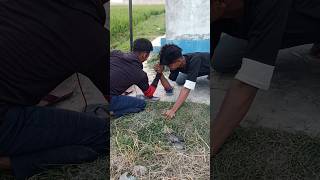 sahin vs kaiyam arm wrestling 🔥💪 young boy attitude [upl. by Long229]