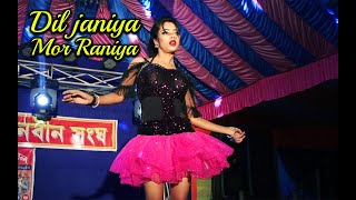 Dil Janiya Mor Raniya  dj video song  dance program [upl. by Jadwiga]