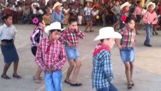 Baile el taconazo [upl. by Reemas434]