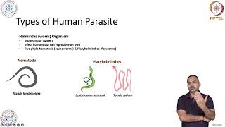 Introduction to the parasite infection and Malaria [upl. by Selbbep]