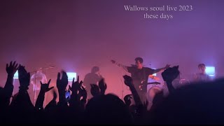 Wallows live in seoul 2023 [upl. by Nylzzaj]